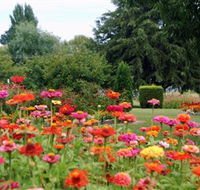 Alma Park - Attractions Melbourne