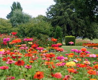 Alma Park