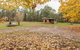 Major Clews Hut Walking Track - thumb 2