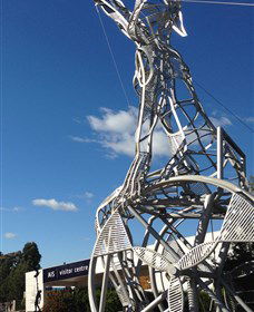 Australian Institute Of Sport (AIS) - Attractions Melbourne 0