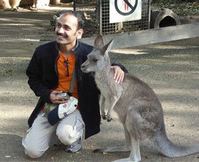 Activity Tours Australia - Attractions Melbourne 3