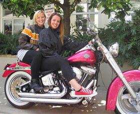 Wild Ride Harley And Motorcycle Tours - Attractions Melbourne 0