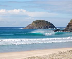 Surfaris Surf Camp - Attractions Melbourne 4