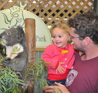 Blue Diamond Tours - Attractions Melbourne