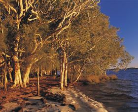 East Coast Adventure Bus - Attractions Melbourne 2