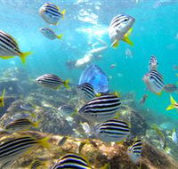 EcoTreasures - Attractions Melbourne