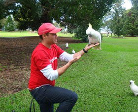 Peek Tours Sydney - Attractions Melbourne 2