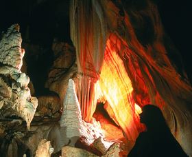 Cloud9 Tours - Attractions Melbourne 3