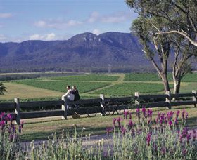 Cloud9 Tours - Attractions Melbourne 7