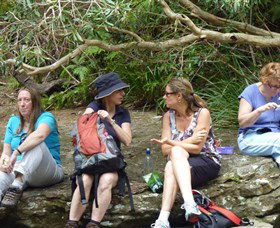Dingo Tours - Attractions Melbourne 1