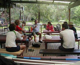 Dingo Tours - Attractions Melbourne 5