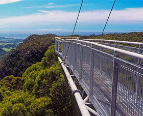 Dingo Tours - Attractions Melbourne 4