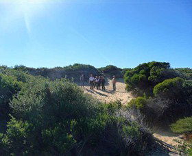 Dingo Tours - Attractions Melbourne 7