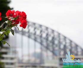 Sydney Photo Tours - Attractions Melbourne 3