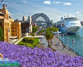 Sydney Photo Tours - Attractions Melbourne 5