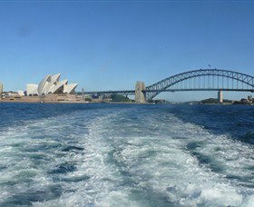 Oz Whale Watching - Attractions Melbourne 5