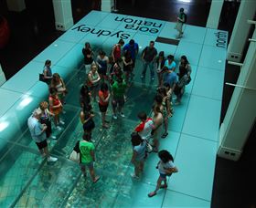 I'm Free Tours - Attractions Melbourne 1