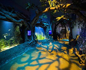 SEA LIFE Sydney Aquarium - Attractions Melbourne 2