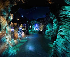 SEA LIFE Sydney Aquarium - Attractions Melbourne 3