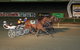Bathurst Harness Racing Club - thumb 3