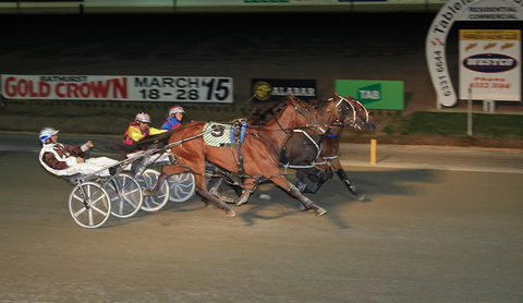 Bathurst Harness Racing Club - Attractions Melbourne 3