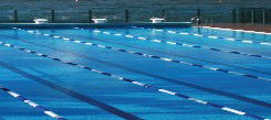 Andrew Boy Charlton Pool - Attractions Melbourne 1