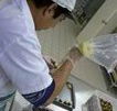 Fremantle Chocolate Pty ltd - Attractions Melbourne
