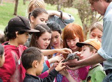 Blackbutt Reserve - Attractions Melbourne 2