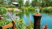 Gone Walkabout Safaris - Attractions Melbourne 0