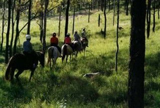 Hunter Valley Horse Riding And Adventures - Attractions Melbourne 0