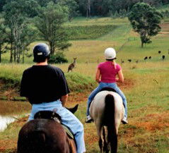 Hunter Valley Horse Riding And Adventures - Attractions Melbourne 3