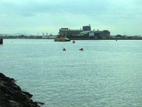 Newcastle Kayak Tours - Attractions Melbourne 5
