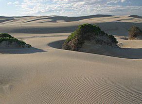 Port Stephens 4WD Tours - Attractions Melbourne 1
