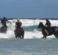 Pegasus Park Equestrian Centre - Attractions Melbourne