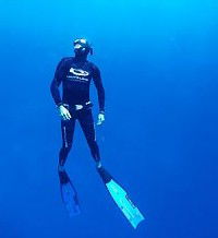 Byron Bay Dive Centre - Attractions Melbourne 1