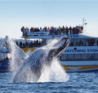Bass  Flinders Cruises - Attractions Melbourne