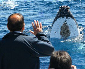 Bass & Flinders Cruises - Attractions Melbourne 3