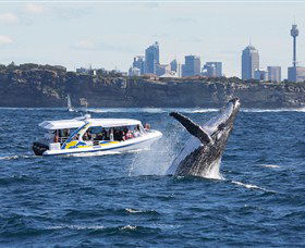 Bass & Flinders Cruises - Attractions Melbourne 2
