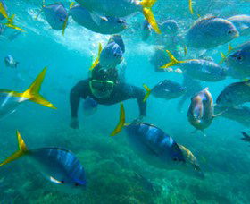 G Adventures - Attractions Melbourne 0