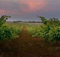 Wine Class - Attractions Melbourne
