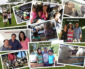 The NSW Cheese Tour - Attractions Melbourne 0