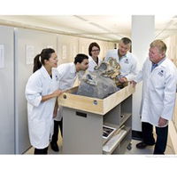 Behind the Scenes Tours at Australian Museum - Attractions Melbourne