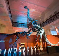 Australian Museum - Attractions Melbourne