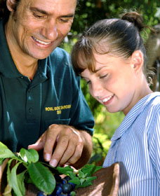 Aboriginal Heritage Tour - Attractions Melbourne 1
