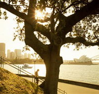 Royal Botanic Gardens and the Domain - Attractions Melbourne