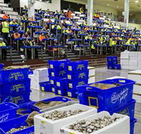 Sydney Fish Market - Attractions Melbourne