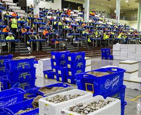 Sydney Fish Market - Attractions Melbourne 0