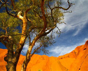 The Artery Aboriginal Art - Attractions Melbourne 2