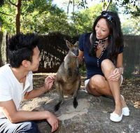 VIP Aussie Gold - Attractions Melbourne