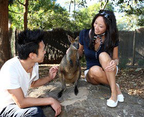VIP Aussie Gold - Attractions Melbourne 0